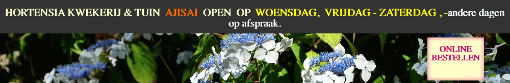 HORTENSIA KWEKERIJ & TUIN 