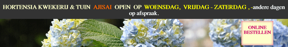 HORTENSIAKWEKERIJ.BE - OPEN IEDERE ZONDAG